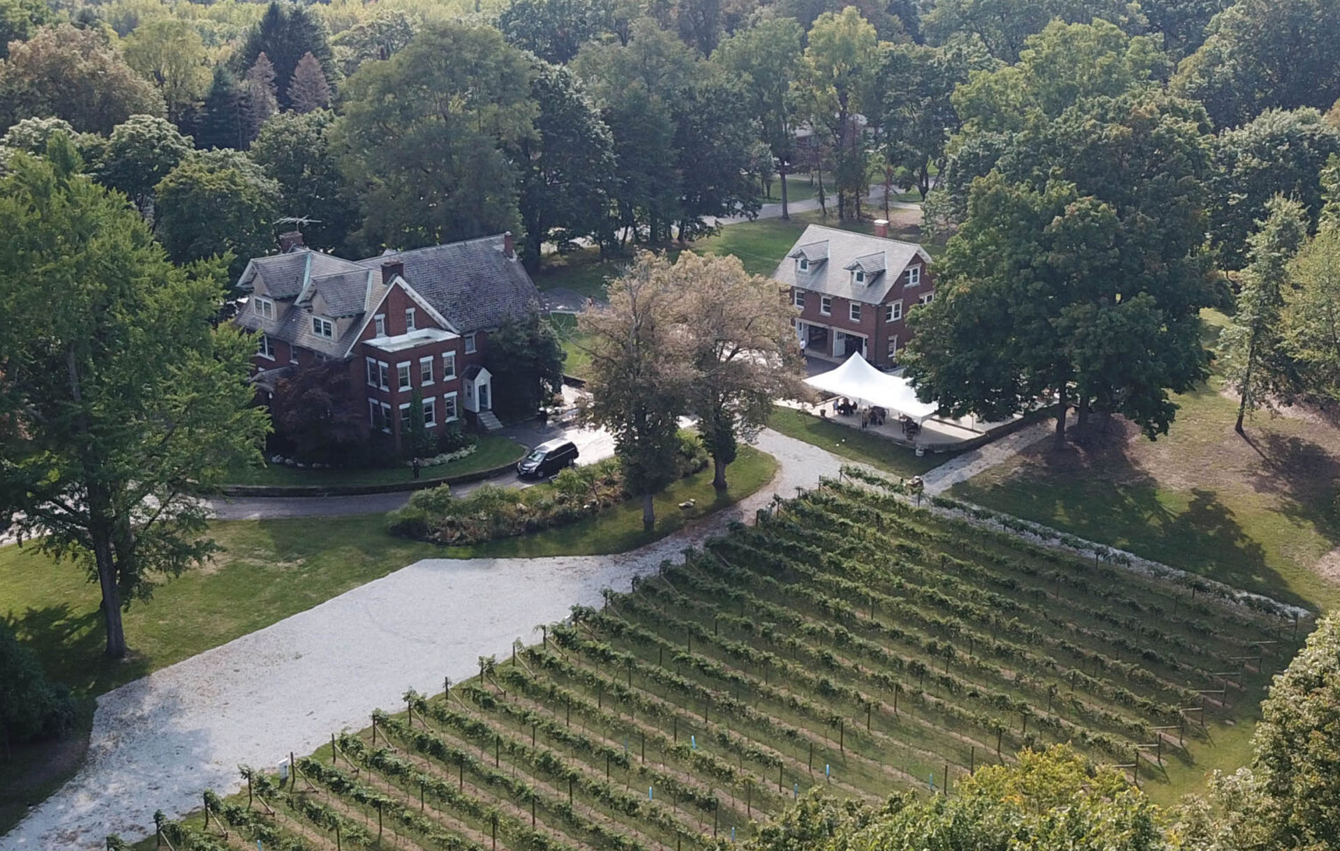 prime vine winery