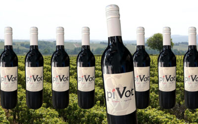 Prime Vine Winery Launches Pivot: A New Napa Red Blend