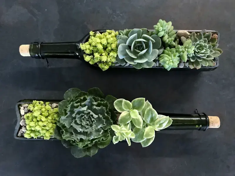 Succulent Wine Bottle Workshop