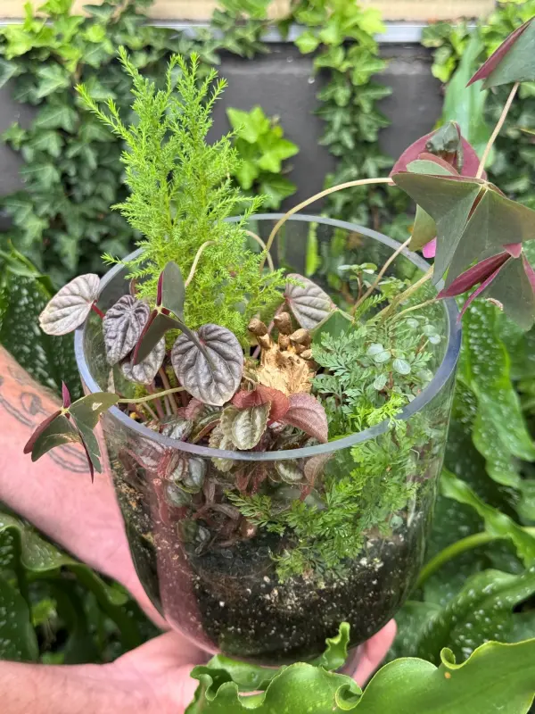 Golden Graveyard Terrarium